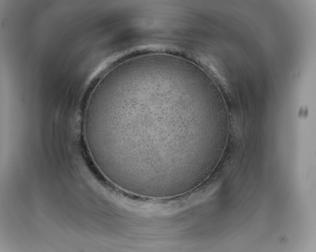 X0000090870016200707271300