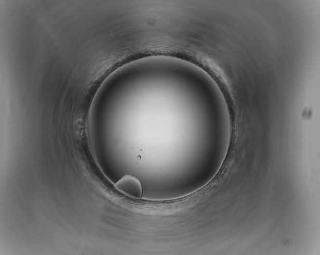 X0000090870017200707271300