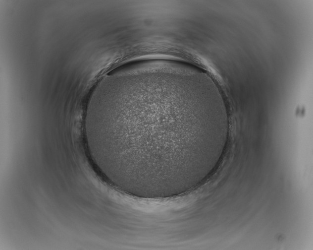 X0000090870018200707271300