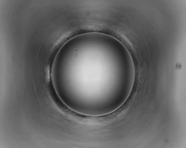 X0000090870020200707271300