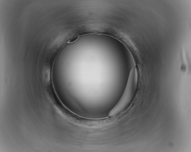 X0000090870021200707271300