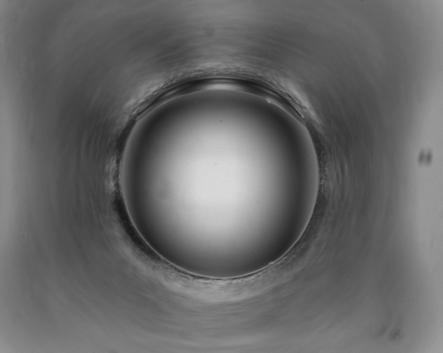 X0000090870023200707271300