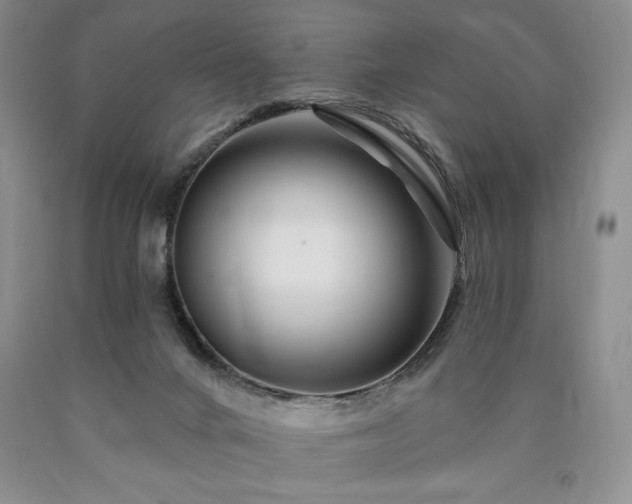 X0000090870024200707271300