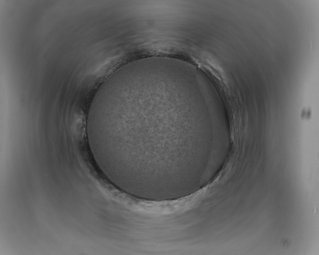 X0000090870029200707271300