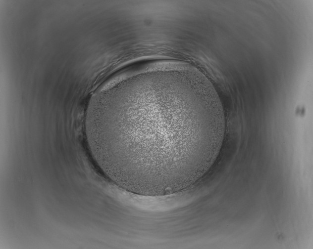 X0000090870030200707271300