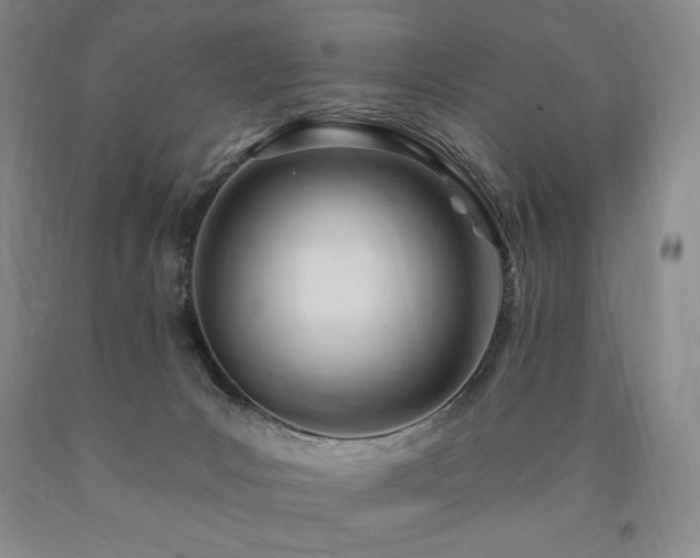 X0000090870031200707271300