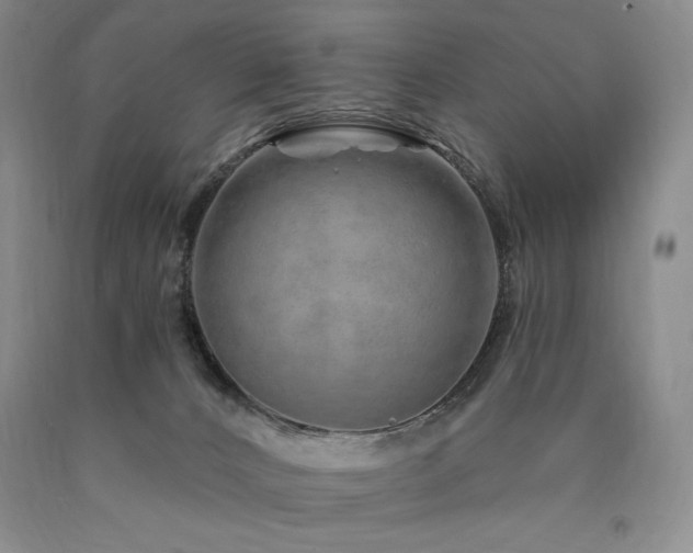 X0000090870032200707271300