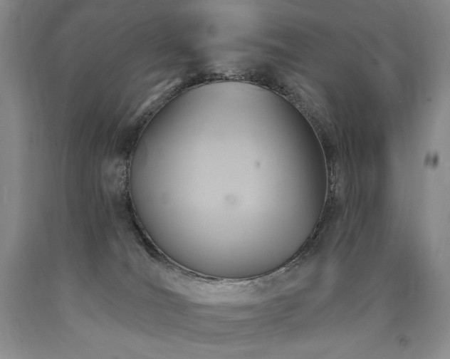 X0000090870036200707271300