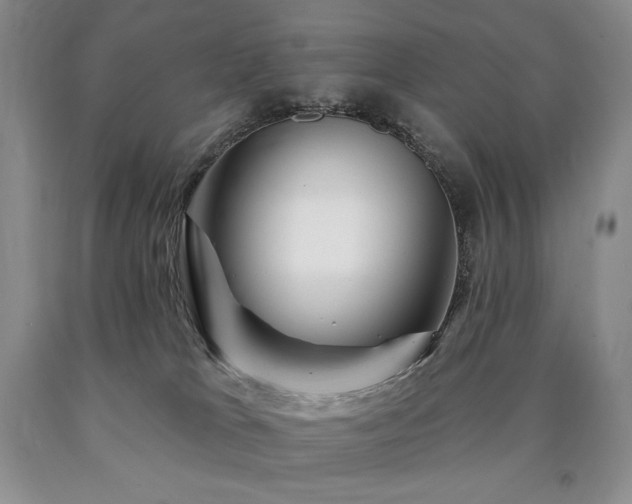 X0000090870037200707271300