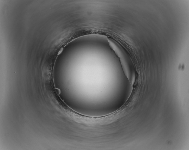 X0000090870039200707271259