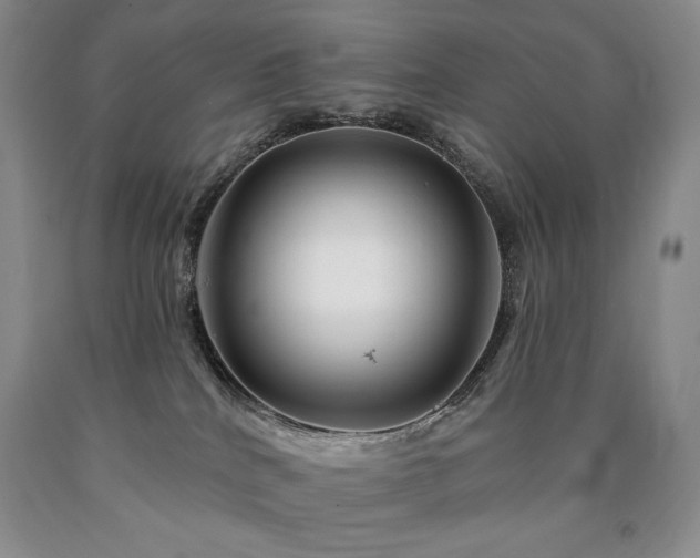 X0000090870040200707271259