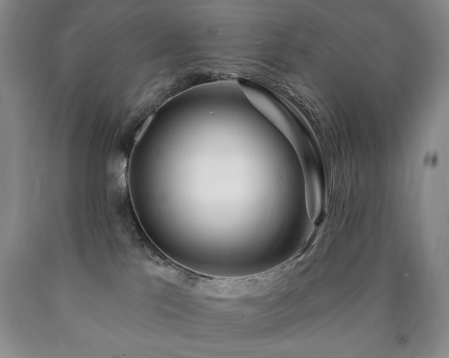 X0000090870041200707271259