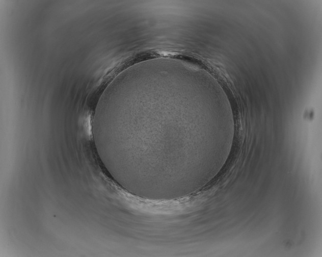 X0000090870042200707271259