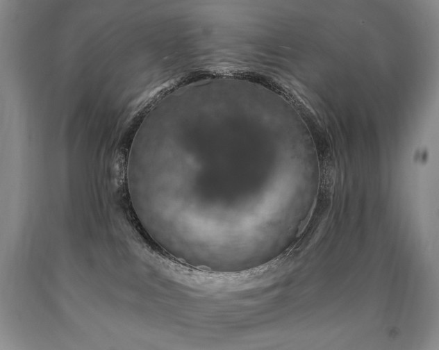 X0000090870043200707271259