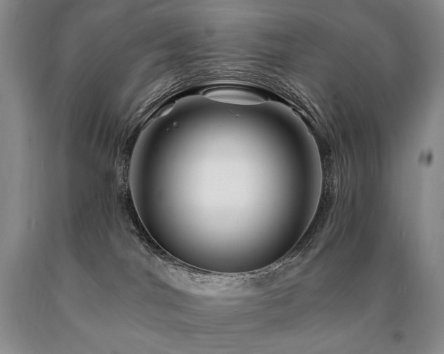 X0000090870044200707271259