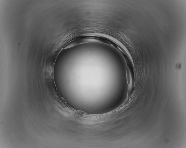 X0000090870045200707271259