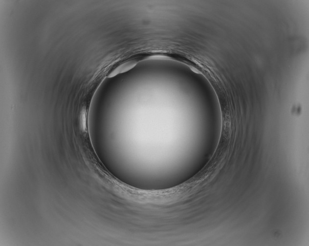 X0000090870046200707271259