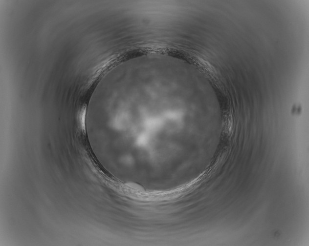 X0000090870047200707271259