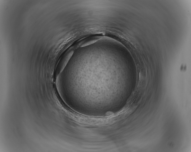 X0000090870048200707271259