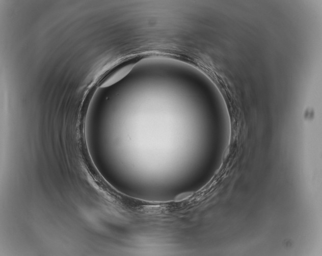 X0000090870050200707271259