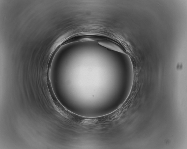 X0000090870051200707271259