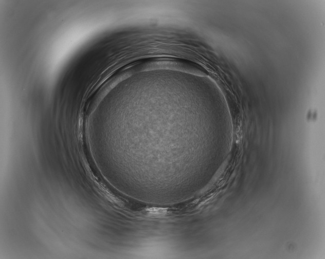 X0000090870052200707271259