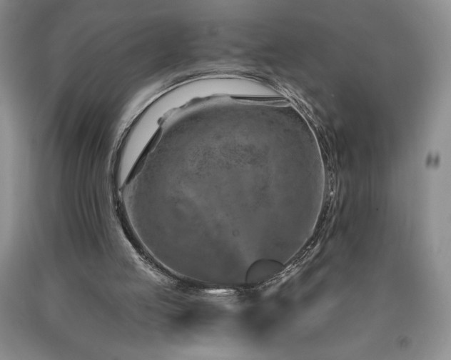 X0000090870053200707271259