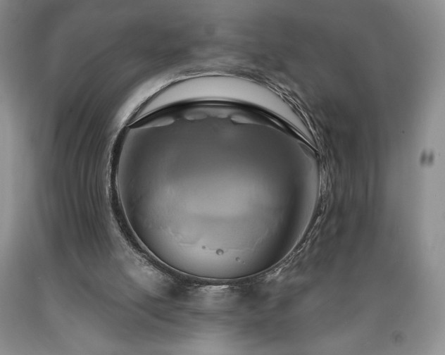 X0000090870054200707271259