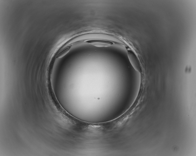 X0000090870055200707271259