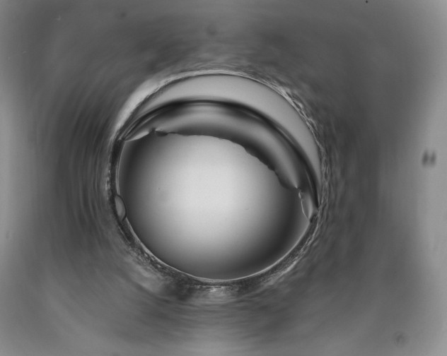 X0000090870056200707271259