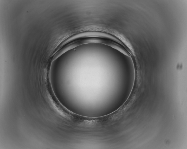 X0000090870057200707271259