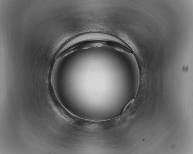 X0000090870058200707271259