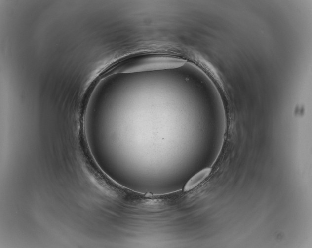 X0000090870059200707271259