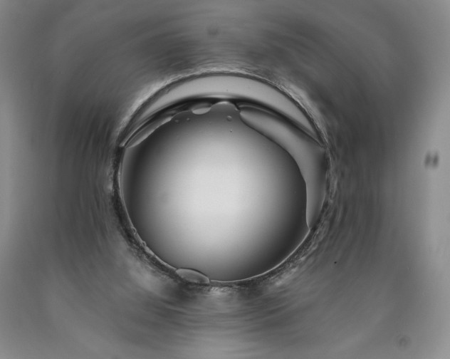 X0000090870060200707271259