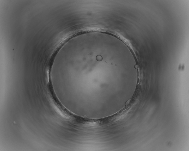 X0000090870061200707271259