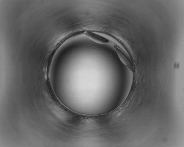 X0000090870062200707271259