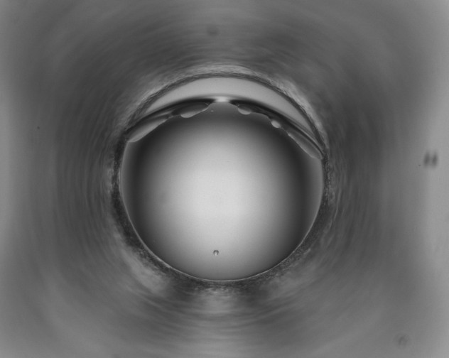 X0000090870063200707271259