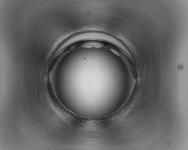 X0000090870064200707271259