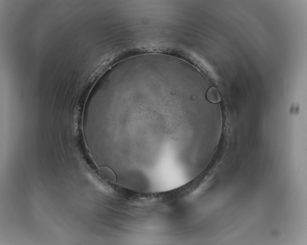 X0000090870065200707271259