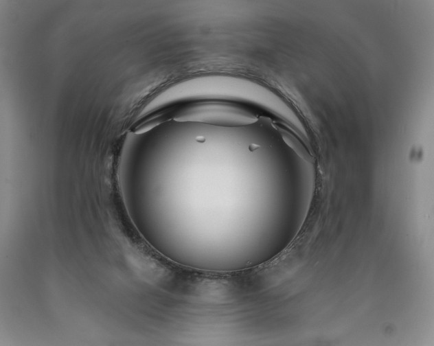 X0000090870066200707271259