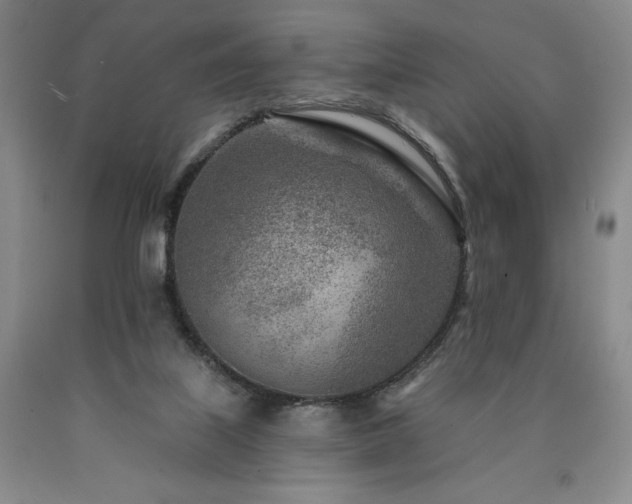 X0000090870067200707271259