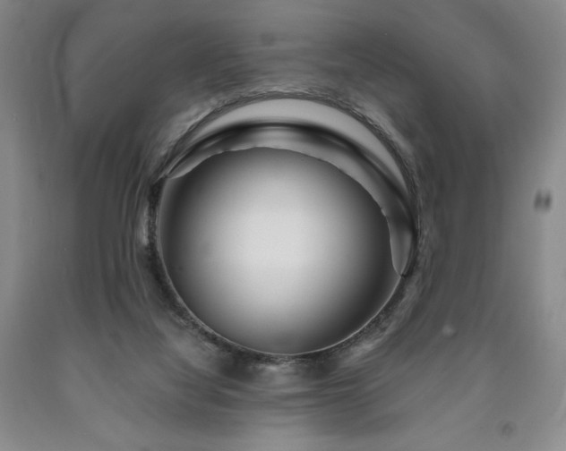 X0000090870068200707271259