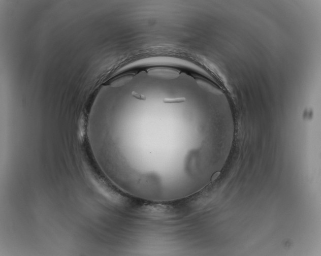 X0000090870069200707271259