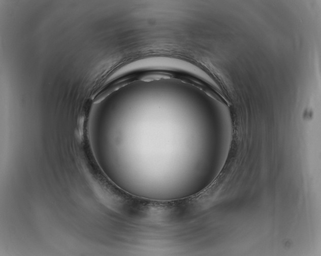 X0000090870070200707271259