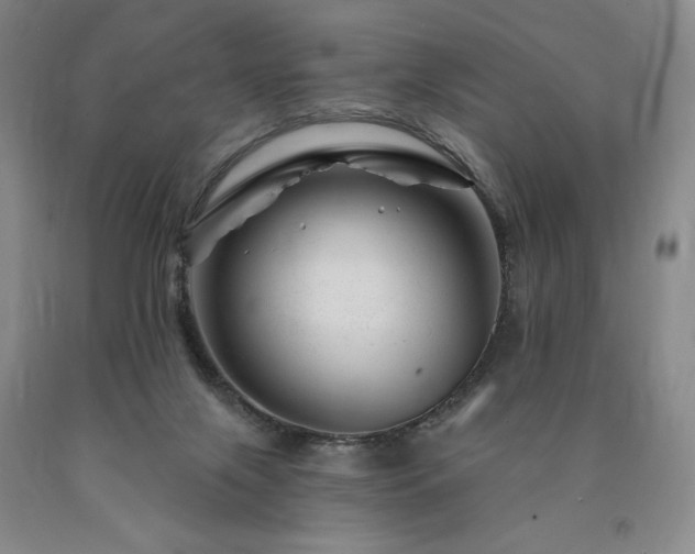 X0000090870071200707271259