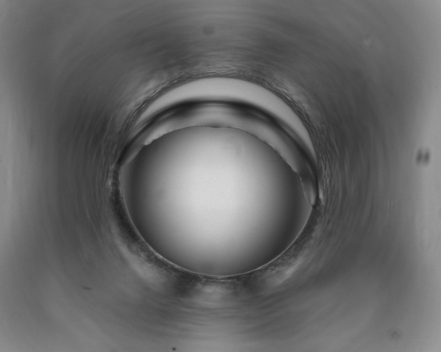 X0000090870072200707271259