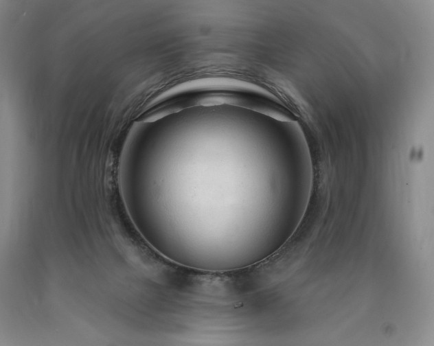 X0000090870073200707271259