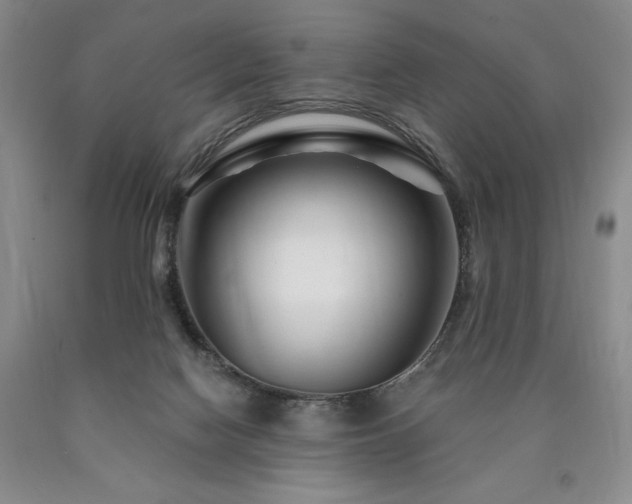 X0000090870074200707271259