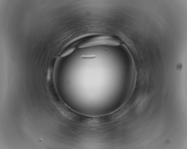 X0000090870075200707271259