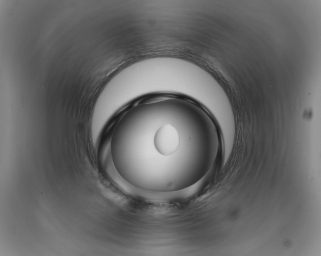 X0000090870076200707271259